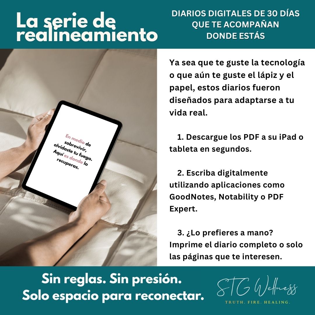 La Reintroducción: Diario Guiado Para Mujeres